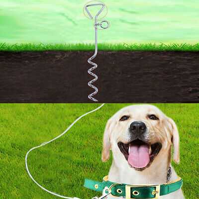 Dog Anchor